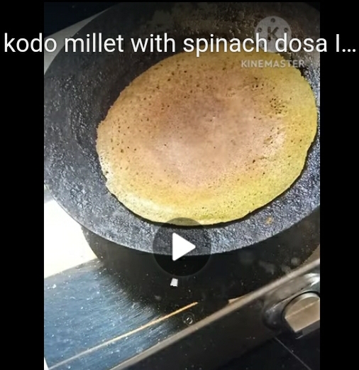 Kodo millet with spinach dosa.
