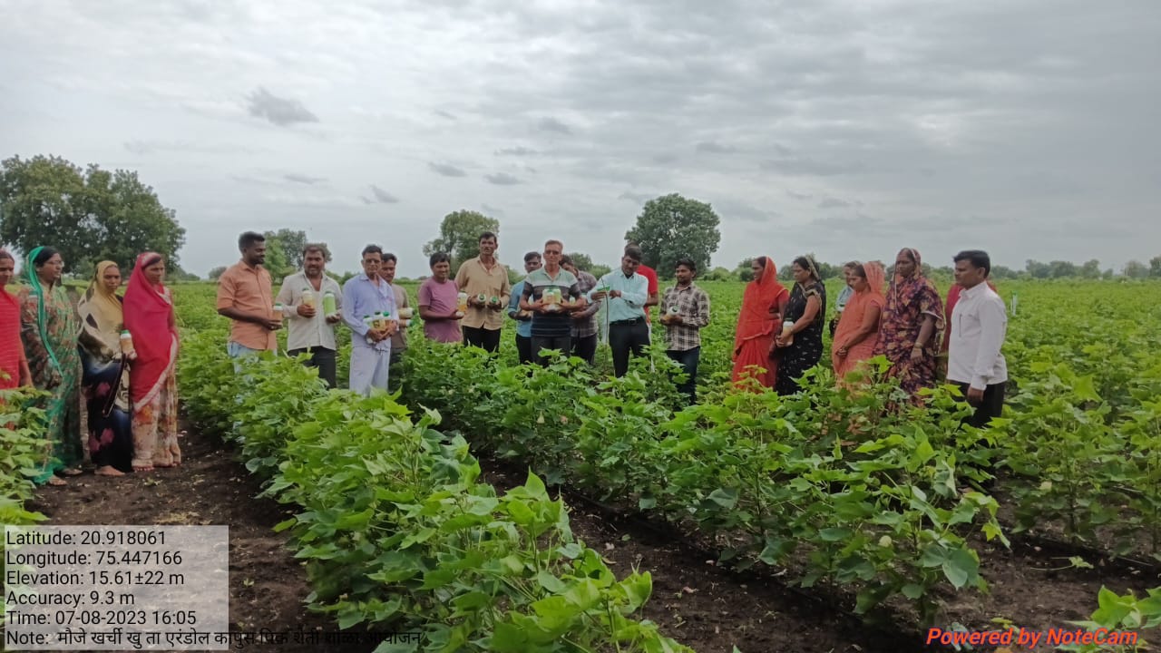 तृण धान्य राजगिरा आहारातील महत्त्व विषयी मार्गदर्शन…