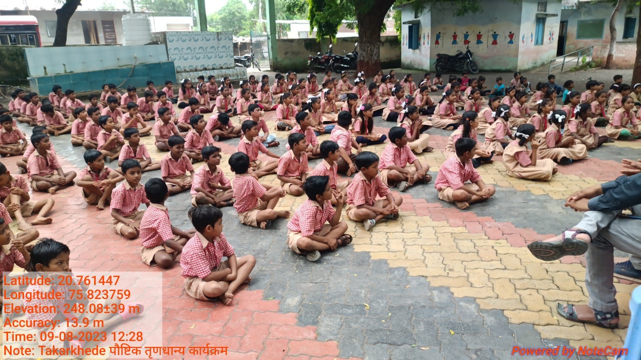 आंतरराष्ट्रीय पौष्टिक तृणधान्य कार्यक्रम