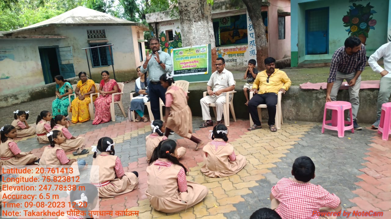 आंतरराष्ट्रीय पौष्टिक तृणधान्य कार्यक्रम