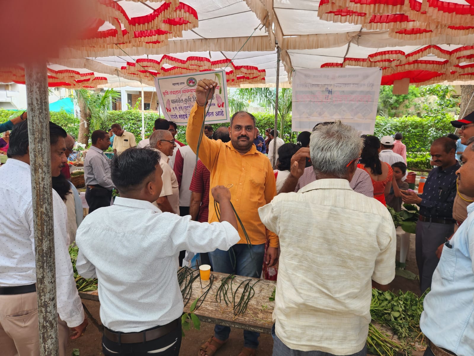 रानभाजी महोत्सव आणि पौष्टिक तृणधान्य जनजागृती….