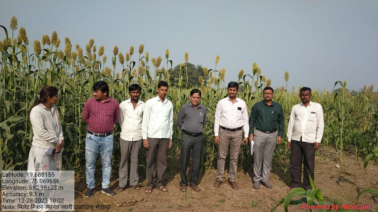 आंतरराष्ट्रीय पौष्टिक तृणधान्य वर्ष २०२३ निमित्ताने मा. विभागीय कृषी सहसंचालक श्री. टी. एस. मोटे, यांनी मौजे भेंडाळा तालुका गंगापूर येथे रब्बी ज्वारी पीक प्रात्यक्षिकला भेट दिली. यावेळी त्यांनी उपस्थित शेतकरी यांना पौष्टिक तृणधान्य आहारातील महत्व याबाबत मार्गदर्शन केले. यावेळी तालुका कृषी अधिकारी गंगापूर, इतर कर्मचारी उपस्थित होते.